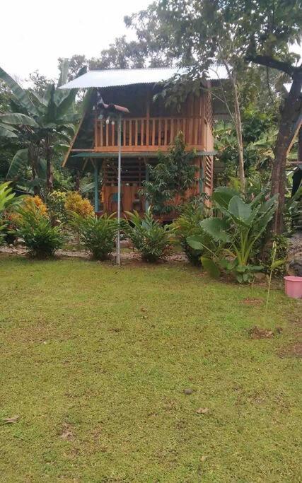 Rustic Wooden Little House Close To The *
